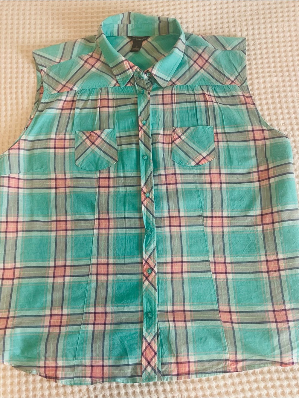 Bit & Bridle Teal Plaid Sleeveless Button-Down Shirt
